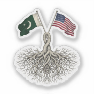 Pakistaans-Amerikaans Sticker
