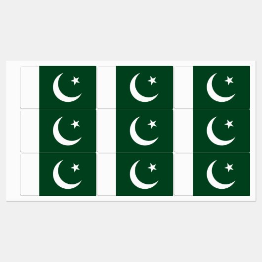 Pakistaanse vlag labels (Vel)