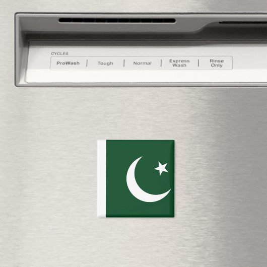 Pakistaanse vlag magneet (Insitu (Vaatwasser))