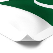 Pakistaanse Vlag Poster Print (Hoek)