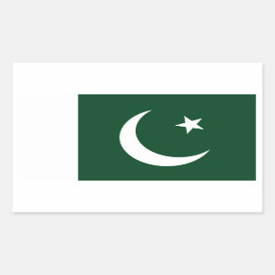 Pakistaanse vlag rechthoekige sticker