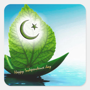 pakistaanse vlagkunst.jpg vierkante sticker