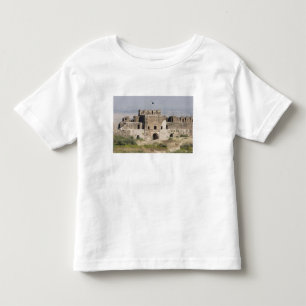Pakistan, Dina. Talaqi-poort gezien vanuit de Kinder Shirts