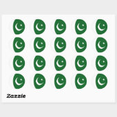 Pakistan Fisheye Flag Sticker (Vel)