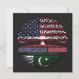 Pakistan Pakistani American American USA Verenigde Kaart