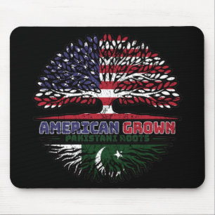 Pakistan Pakistani American American USA Verenigde Muismat