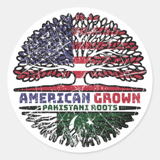 Pakistan Pakistani American American USA Verenigde Ronde Sticker (Voorkant)