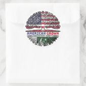 Pakistan Pakistani American American USA Verenigde Ronde Sticker (Tas)