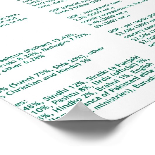 Pakistan Poster (Hoek)