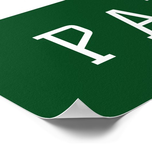 Pakistan Poster (Hoek)