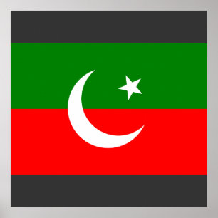 Pakistan Tehreek e Insaf, Pakistan Poster