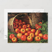 Pakket appelen briefkaart (Voorkant / Achterkant)