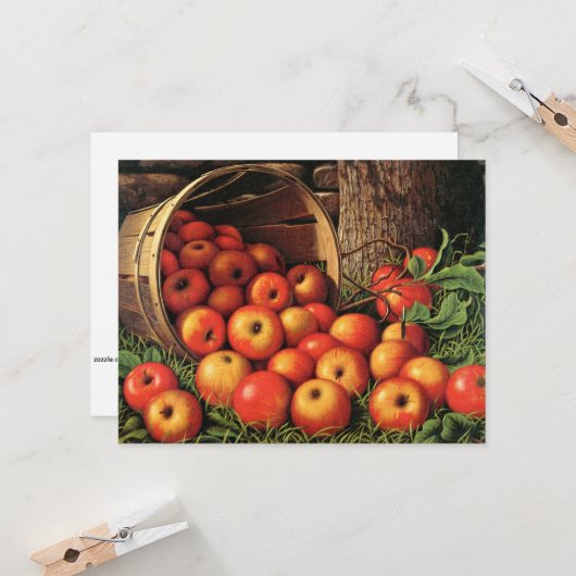 Pakket appelen kaart (Voorkant / Achterkant in situ)