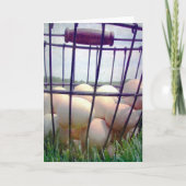 Pakket eieren alle keren kaart (Voorkant)