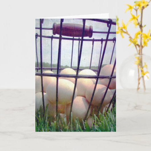 Pakket eieren alle keren kaart (Gele Bloem)