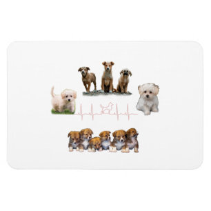 Pakket honden, pakket Funny Dogs Magneet