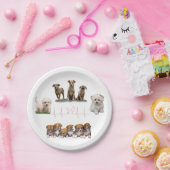 Pakket honden, pakket Funny Dogs Papieren Bordje (Feest)