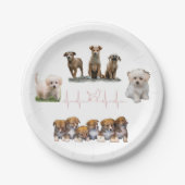 Pakket honden, pakket Funny Dogs Papieren Bordje (Voorkant)