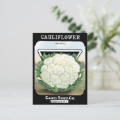 Pakket met bloemkool Witte groenten Tuin Briefkaart (Staand voorkant)