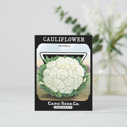 Pakket met bloemkool Witte groenten Tuin Briefkaart (Staand voorkant)