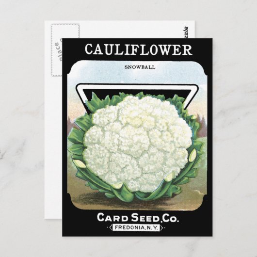 Pakket met bloemkool Witte groenten Tuin Briefkaart (Voorkant / Achterkant)