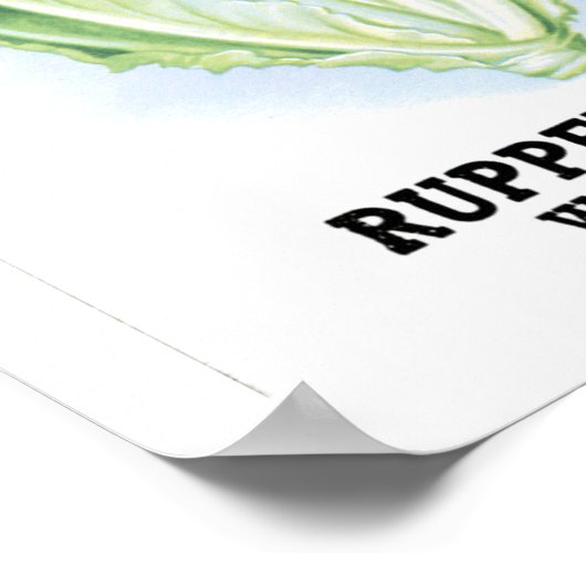 Pakket met  sla poster (Hoek)