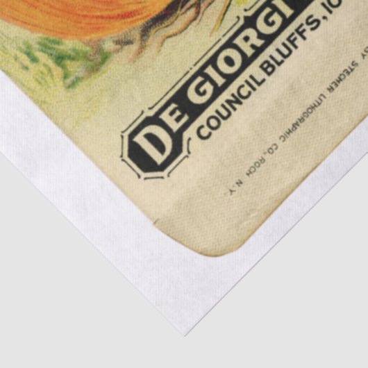 pakket - Uien en instructies Tissuepapier (Detail)