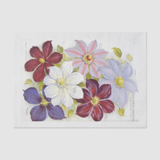  pakket van zaden Geïnspireerd ontkoppelen Tissuepapier (Voorkant)