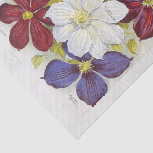  pakket van zaden Geïnspireerd ontkoppelen Tissuepapier (Detail)