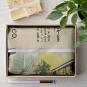  pakket voor zaaizaad Dill en Instructies Tissuepapier (Geschenk)