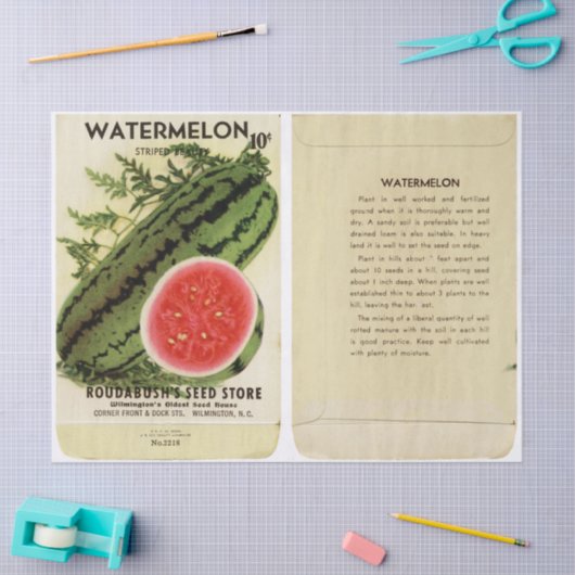 pakket watermeloenen en instructies tissuepapier (Craft)