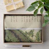 pakket watermeloenen en instructies tissuepapier (Geschenk)