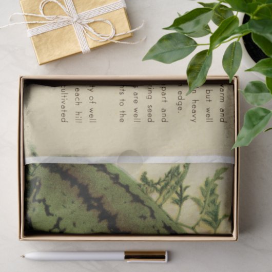  pakket watermeloenen en instructies tissuepapier (Geschenk)