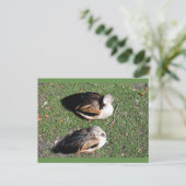 Pakketkaarten Briefkaart (Staand voorkant)