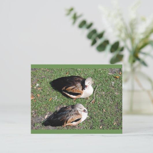 Pakketkaarten Briefkaart (Staand voorkant)