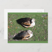 Pakketkaarten Briefkaart (Voorkant / Achterkant)