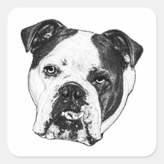 Pakketmerk Bulldog Vierkante Sticker (Voorkant)