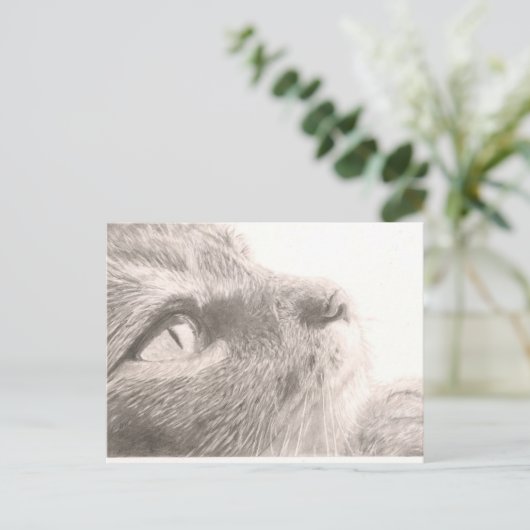 Pakketten om te denken briefkaart (Staand voorkant)