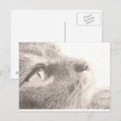 Pakketten om te denken briefkaart (Voorkant / Achterkant)