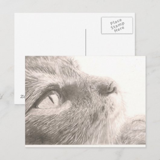 Pakketten om te denken briefkaart (Voorkant / Achterkant)