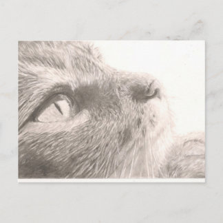 Pakketten om te denken briefkaart