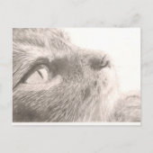 Pakketten om te denken briefkaart (Voorkant)