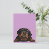 Pakketten om te denken briefkaart (Staand voorkant)