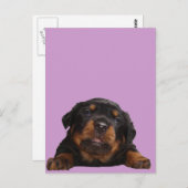 Pakketten om te denken briefkaart (Voorkant / Achterkant)