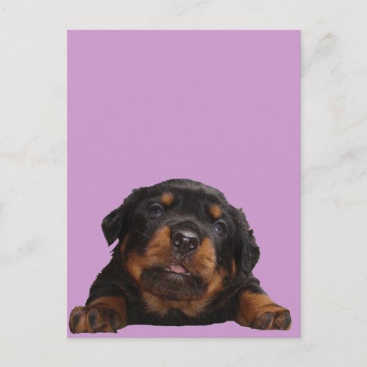 Pakketten om te denken briefkaart (Voorkant)