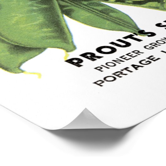 Pakketten voor  zaad van erwten poster (Hoek)