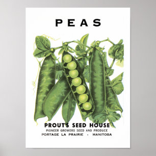 Pakketten voor  zaad van erwten poster