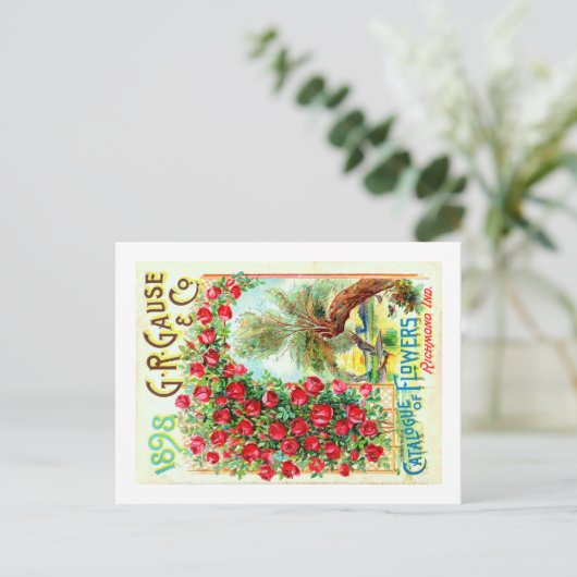 Pakketten voor zaaizaad briefkaart (Staand voorkant)