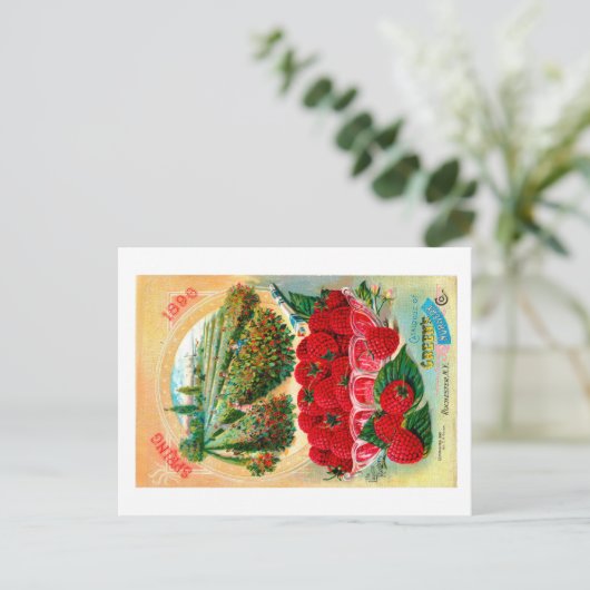 Pakketten voor zaaizaad briefkaart (Staand voorkant)