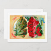 Pakketten voor zaaizaad briefkaart (Voorkant / Achterkant)